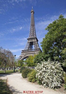 Фотообои Парк в Париже Артикул 17405