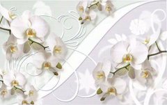 Фотообои Белые орхидеи Артикул dec-637