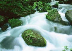 Фотообои Река в горах Артикул 334