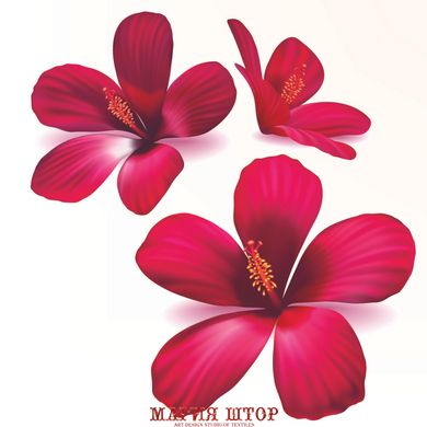 3D Фотообои Розовые 3д цветы Артикул 24161