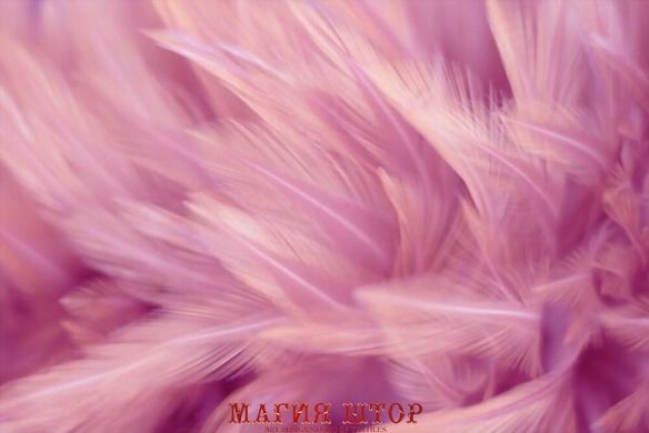 Фотообои Много розовых перьев Артикул shut_1410