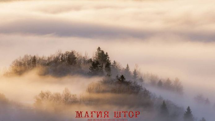 Фотообои Белый туман над лесом Артикул 36459