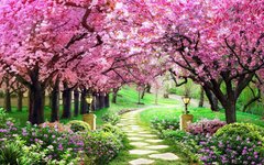Фотообои Дорожка в цветущем саду Артикул 35514