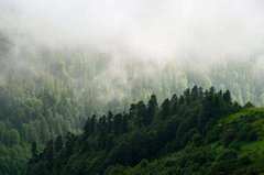 Фотообои Горы в тумане Артикул 27968