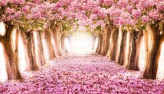 Фотообои Розовые цветы Артикул 14973