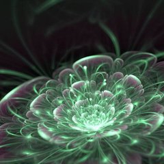 3D Фотообои Пылающий зеленый цветок Артикул 23403_2