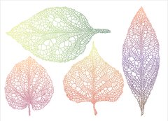 Фотообои цветные листья Артикул 41_1