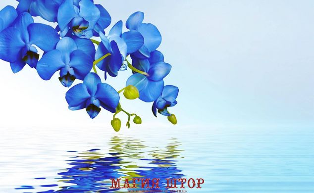 3D Фотообои Синие орхидеи Артикул 36378