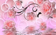 3D Фотообои Розовые розы над водой Артикул dec-605