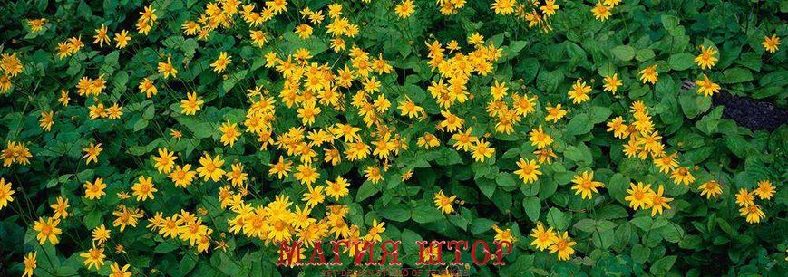 Фотообои Желтые цветы Артикул 1135