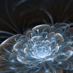 3D Фотообои Светящийся цветок Артикул 23403_1