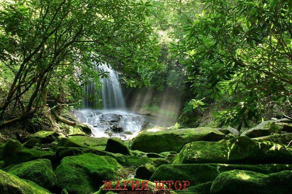 Фотообои Водопад в зеленом лесу Артикул 5382