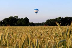 Фотообои Воздушный шар над пшеницей Артикул nfi_02106