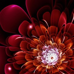 3D Фотообои Красный абстрактный цветок Артикул 24164