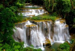 Фотообои Каскадный водопад в зеленом лесу Артикул 5478