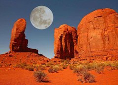 Фотообои Луна над пустыней Артикул 4923