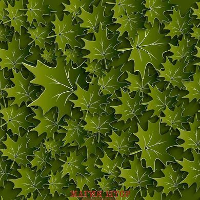 3D Фотообои Зеленые листья Артикул 22625
