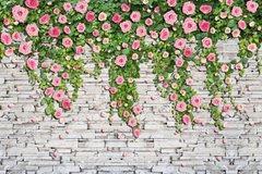 Фотообои Розы на кирпичной стене Артикул 26450