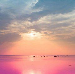 Фотообои Розовый восход Артикул 1484