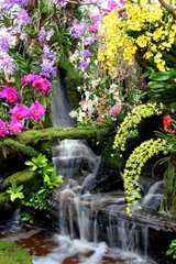 Фотообои Цветы и водопад Артикул 1749