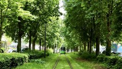 Фотообои Зеленый поезд Артикул nfi_02431