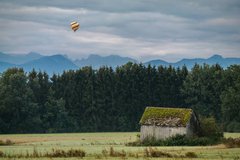 Фотообои Воздушный шар и лес Артикул nfi_02099