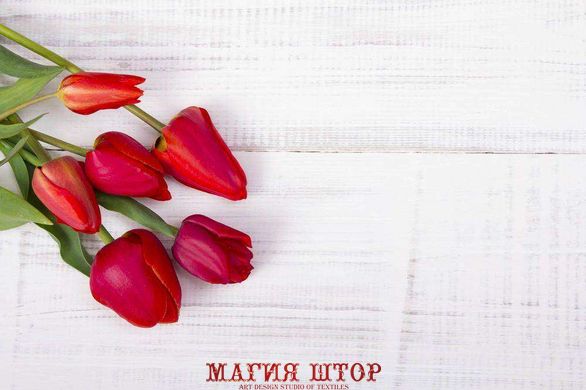 Фотообои Красные тюльпаны Артикул 16667