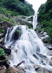 Фотообои Водопад с горы Артикул 325
