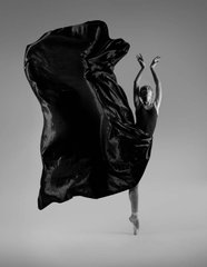 Фотообои Балерина в платье Артикул shut_3452