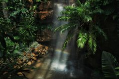 Фотообои Райский водопад Артикул nus_11005