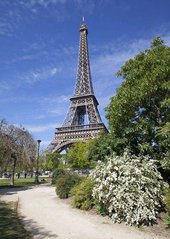 Фотообои Парк в Париже Артикул 17405