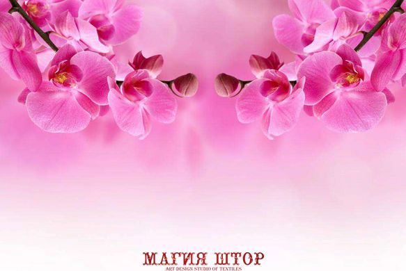 Фотообои Розовая орхидея Артикул 4090