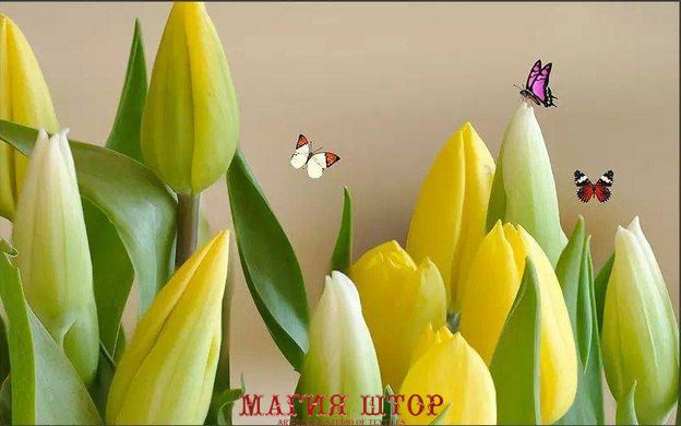 Фотообои Жёлтые тюльпаны Артикул dec-670