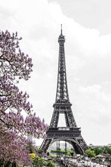 Фотообои Весенний Париж Артикул 11921