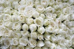 Фотообои Букет белых роз Артикул 15214