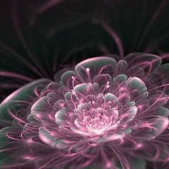 3D Фотообои Горящий фиолетовый цветок Артикул 23403_3