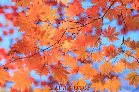 Фотообои Оранжевые листья Артикул 4379