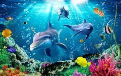 Фотообои Милые дельфины Артикул 50751