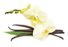 Фотообои Орхидея и ваниль Артикул 15139