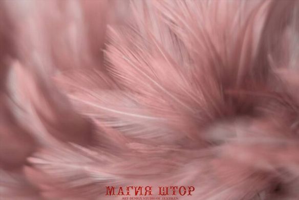 Фотообои Розовые перья Артикул shut_1416