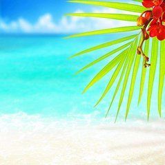 Фотообои Цветы и море Артикул 1400