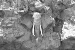 3D Фотообои Каменный слон Артикул 56772