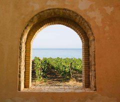 Фотообои Вид на море и виноградник Артикул 4764