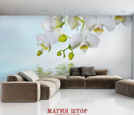 Фотообои Белая орхидея Артикул 1357