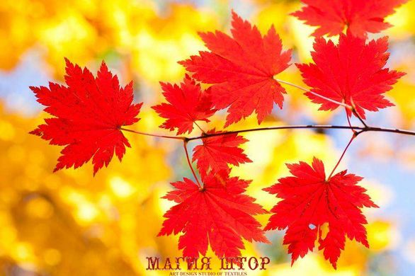 Фотообои Красные листья Артикул 1545