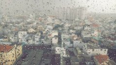 Фотообои Город под дождем Артикул nfi_02163