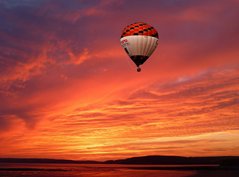 Фотообои Воздушный шар в розовом небе Артикул nfi_02113