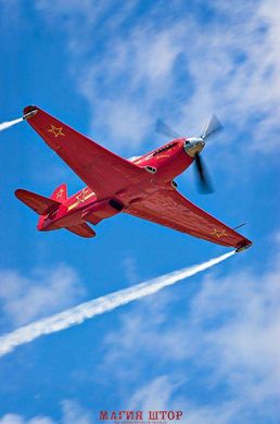 Фотообои Красный самолет Артикул 13973