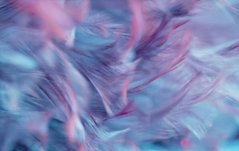 Фотообои Перья голубые с малиновым Артикул shut_1510