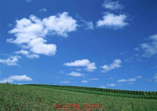 Фотообои Облака над полем Артикул 0720
